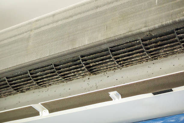 Best HVAC System Cleaning  in Media, PA